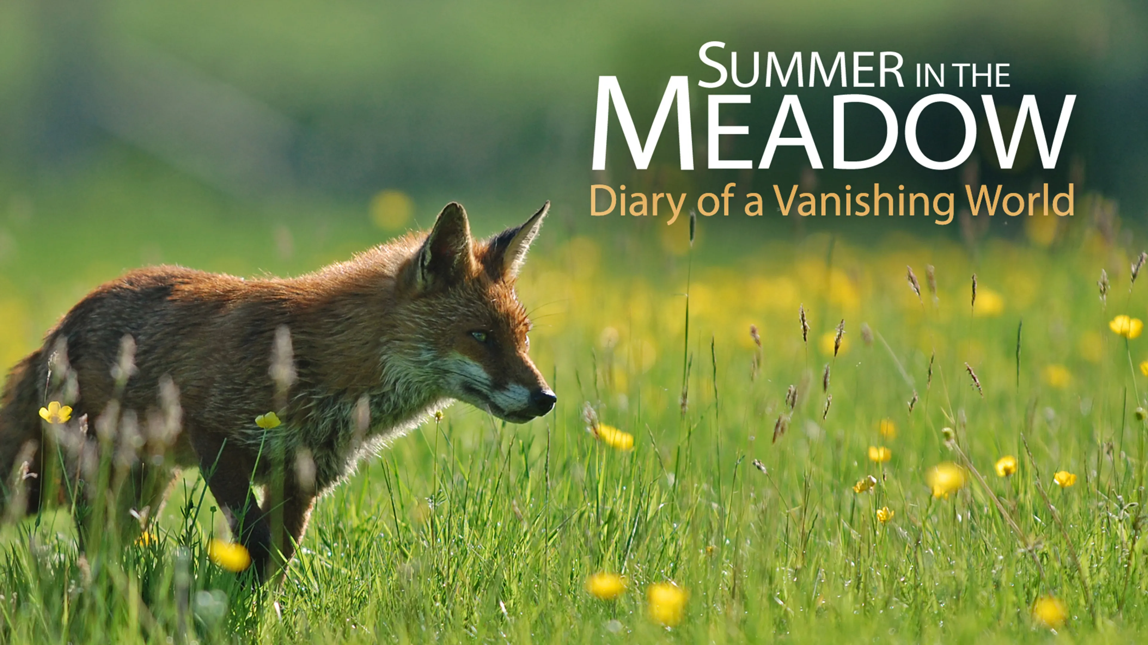 Summer in the Meadow: Diary of a Vanishing World poster
